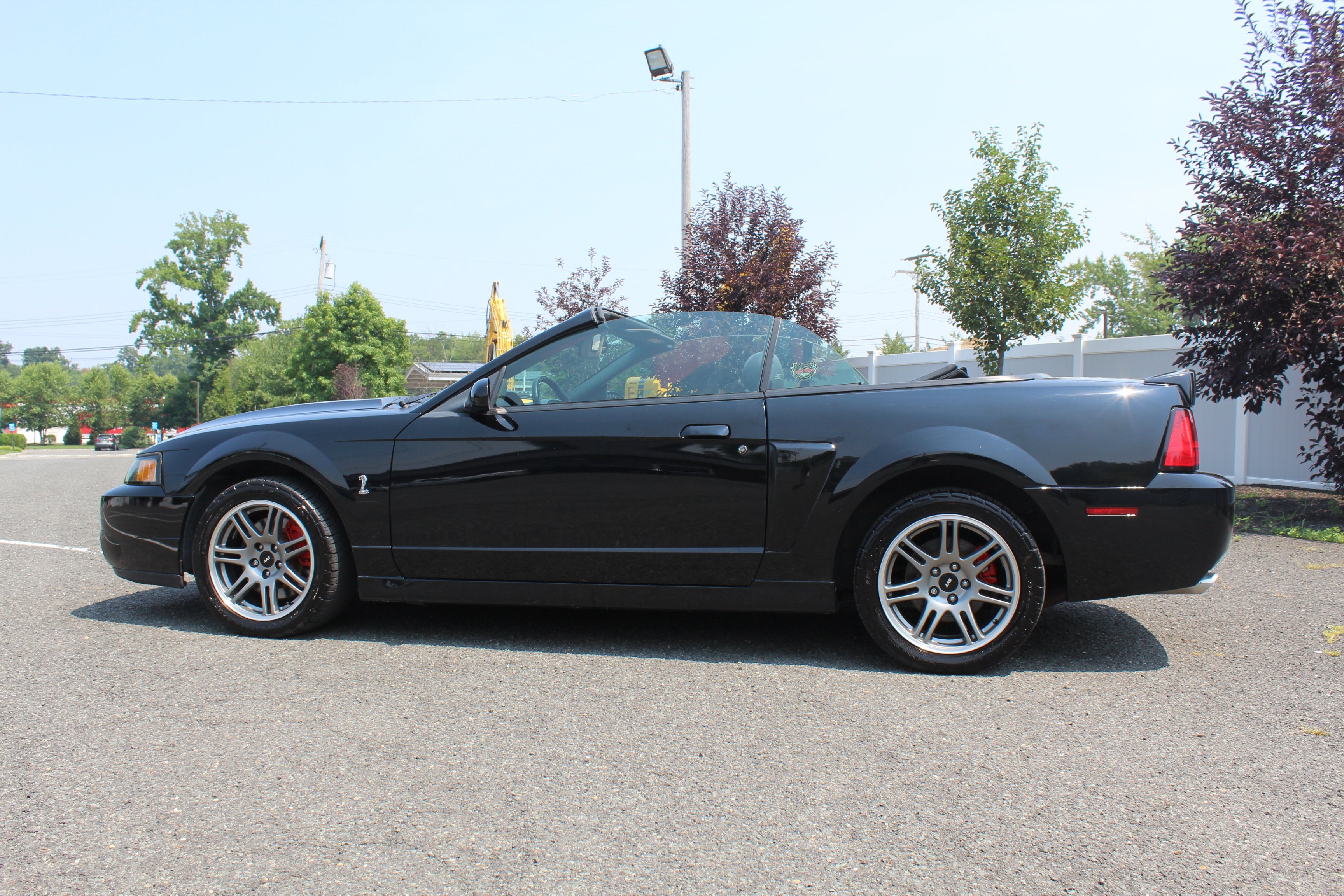 2003 Ford Mustang SVT Cobra