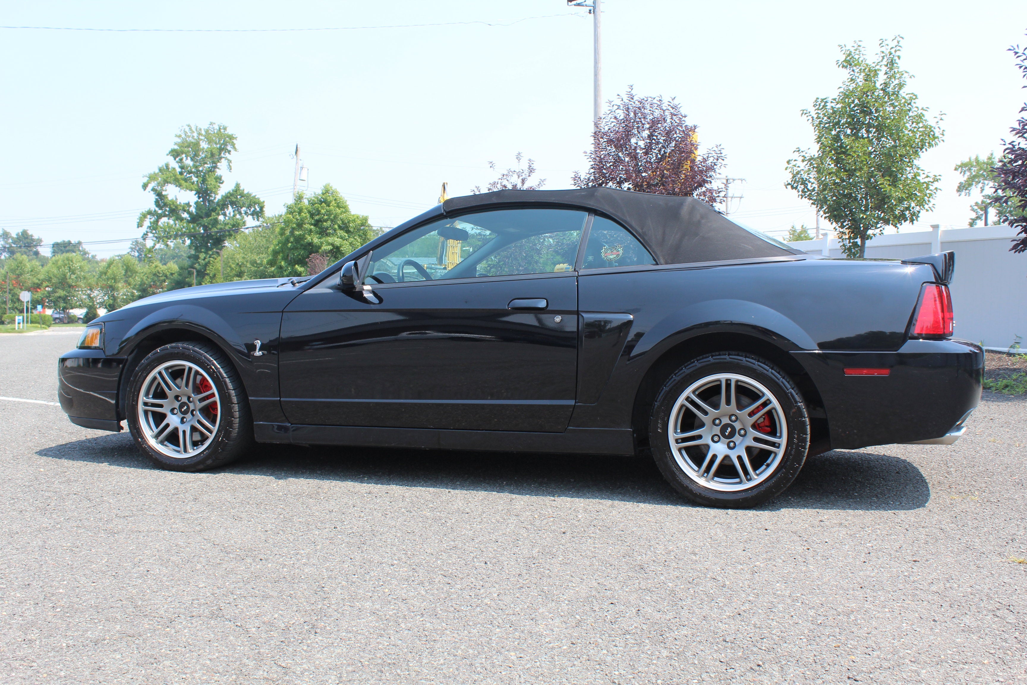 2003 Ford Mustang SVT Cobra