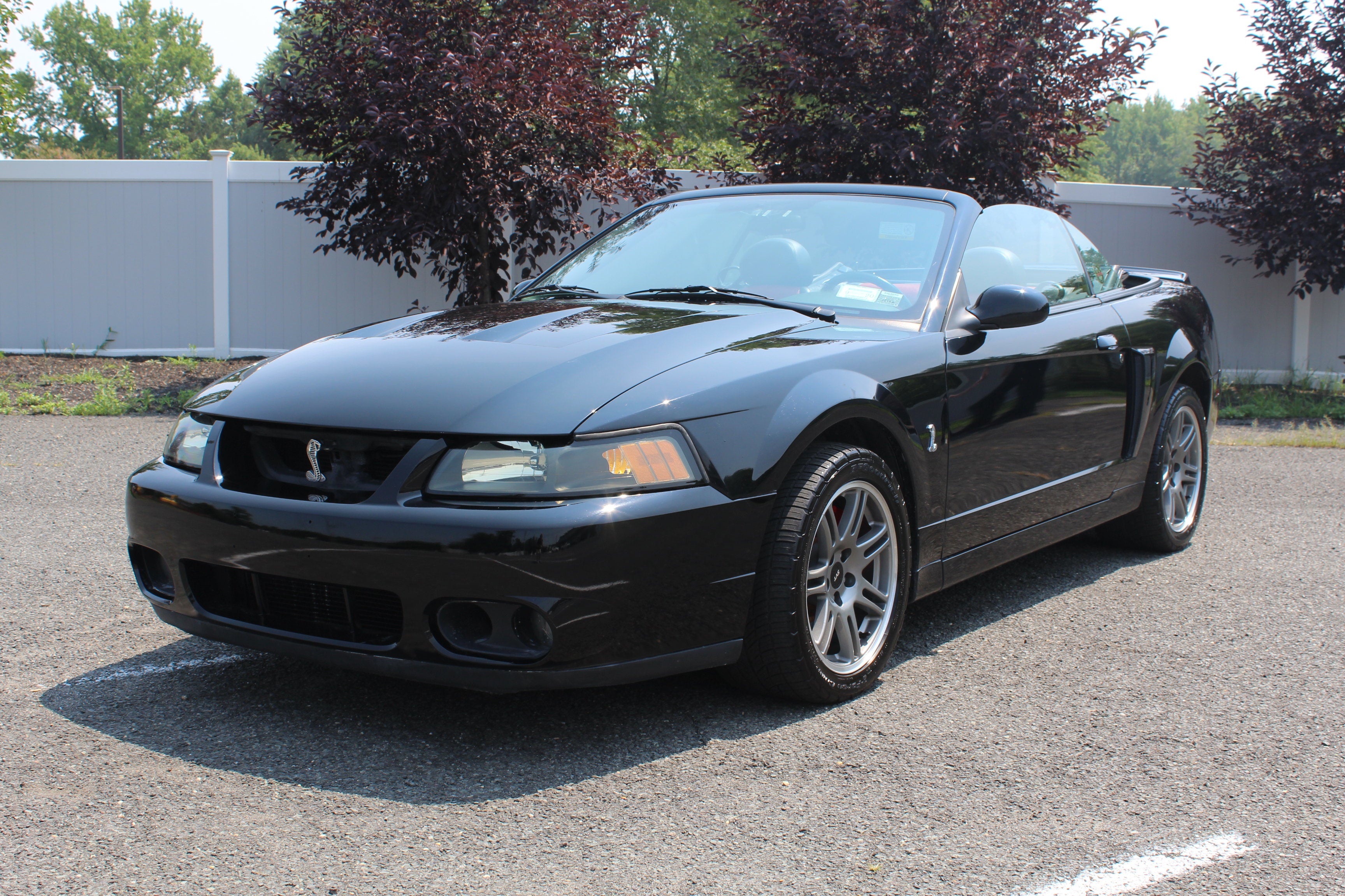 2003 Ford Mustang SVT Cobra