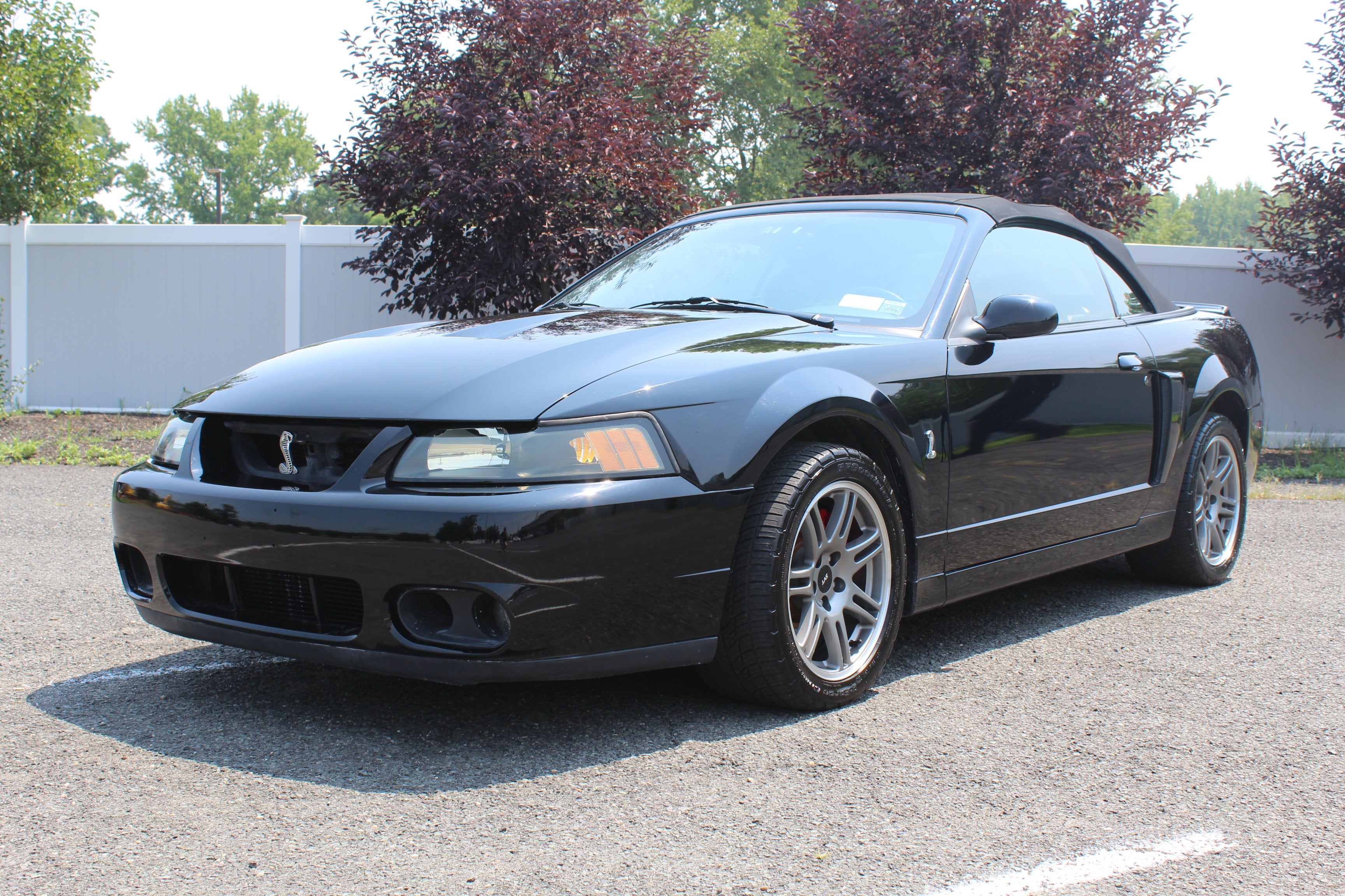 2003 Ford Mustang SVT Cobra