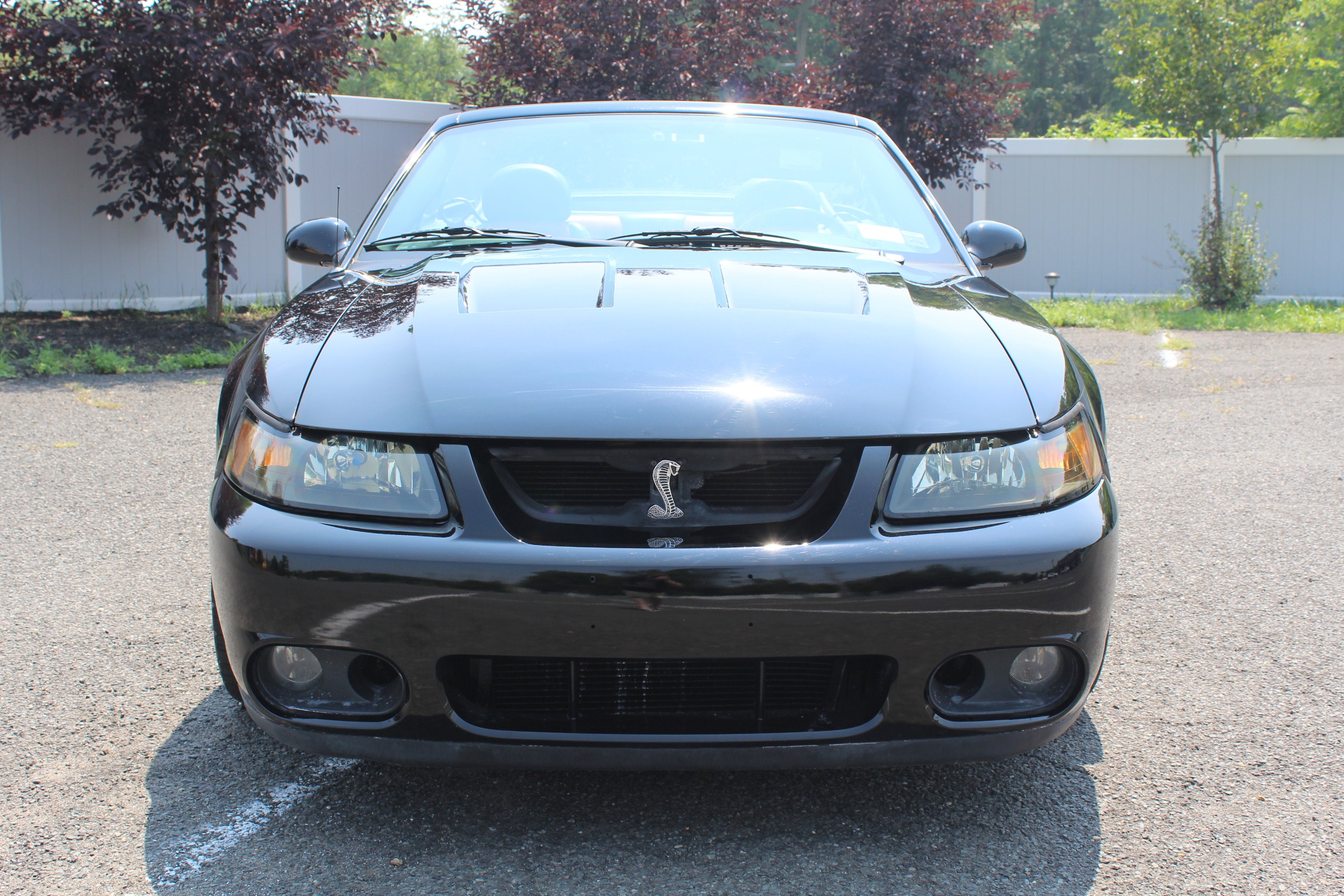 2003 Ford Mustang SVT Cobra
