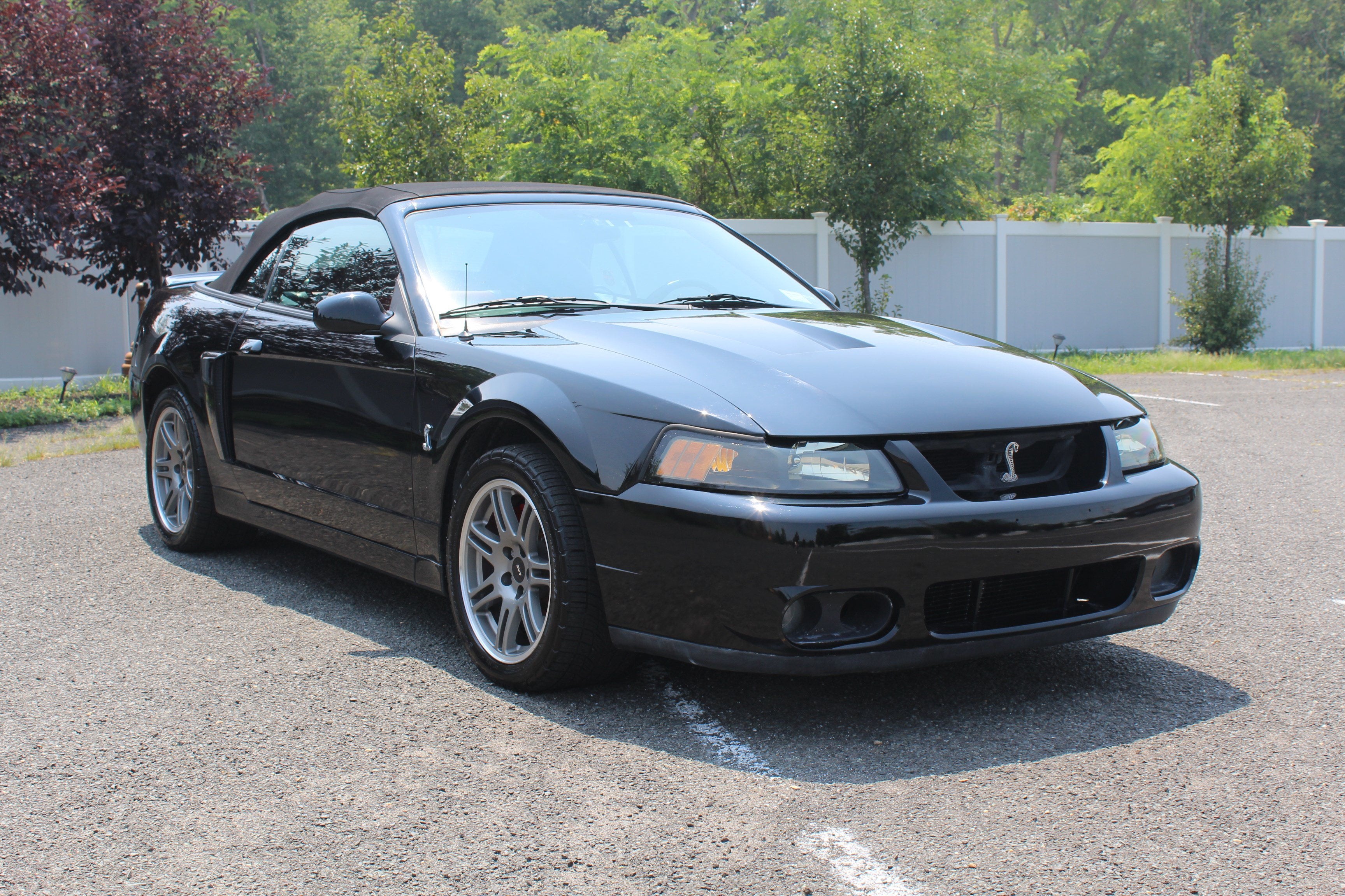 2003 Ford Mustang SVT Cobra
