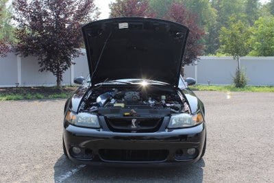 2003 Ford Mustang SVT Cobra
