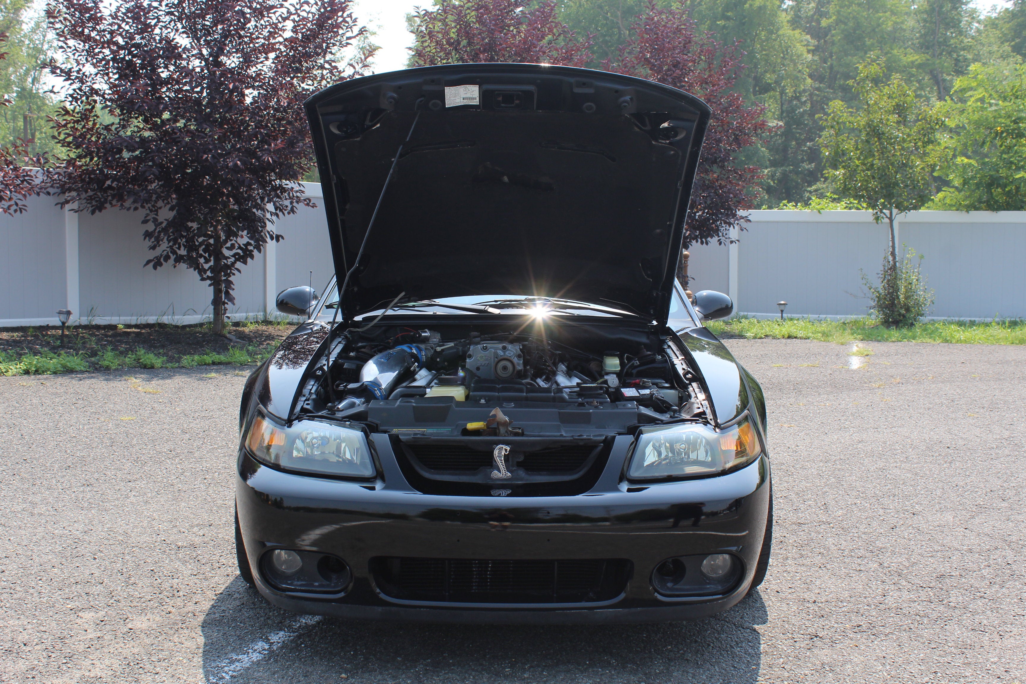 2003 Ford Mustang SVT Cobra