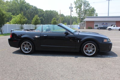 2003 Ford Mustang SVT Cobra