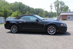 2003 Ford Mustang SVT Cobra