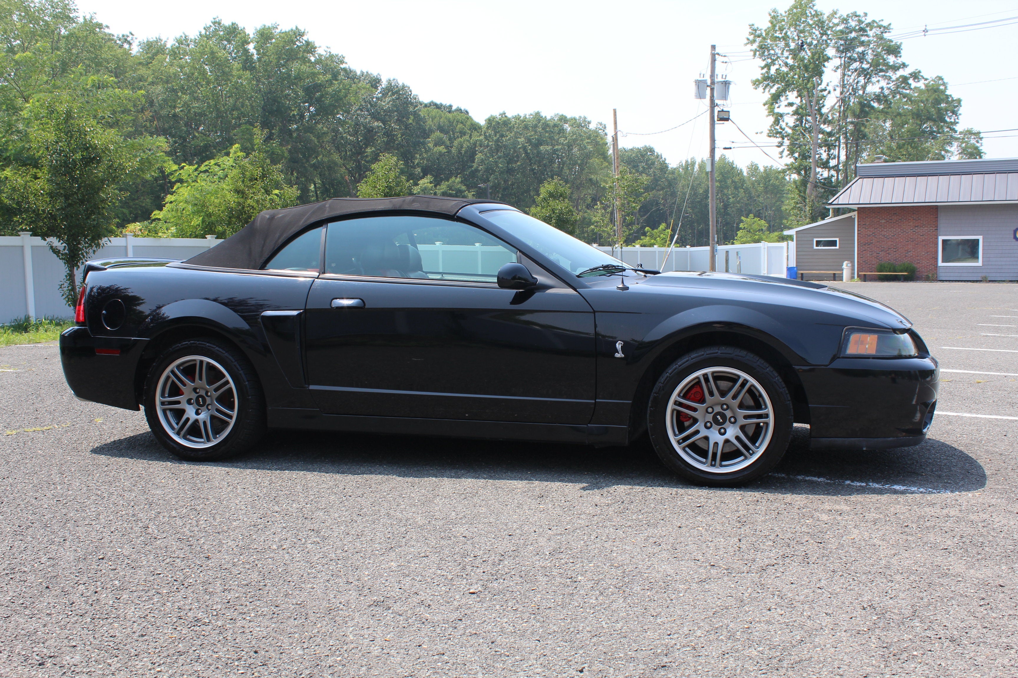 2003 Ford Mustang SVT Cobra