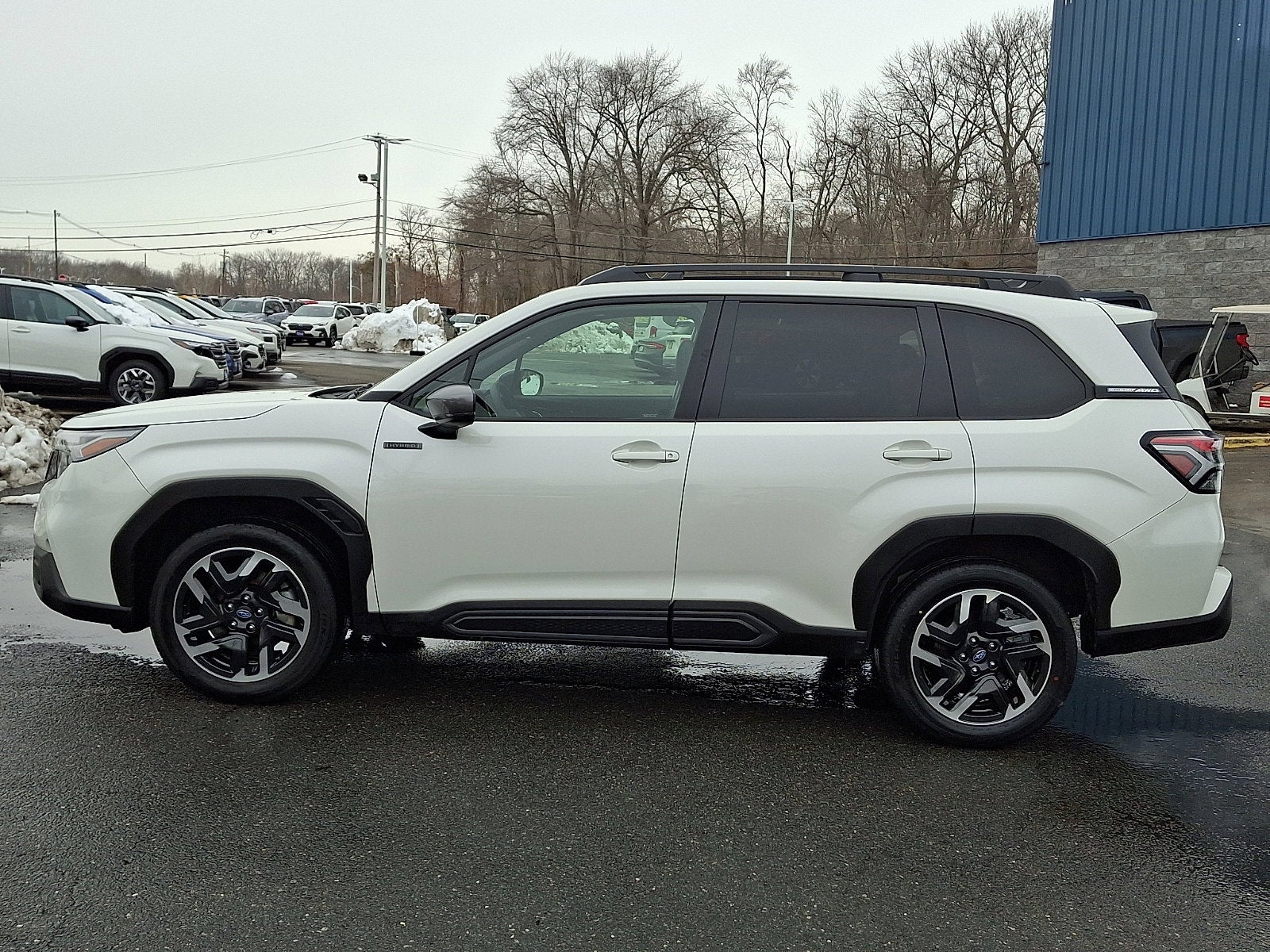 2025 Subaru Forester Limited Hybrid