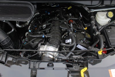 2026 Ford Transit Galaxy Edition by Waldoch