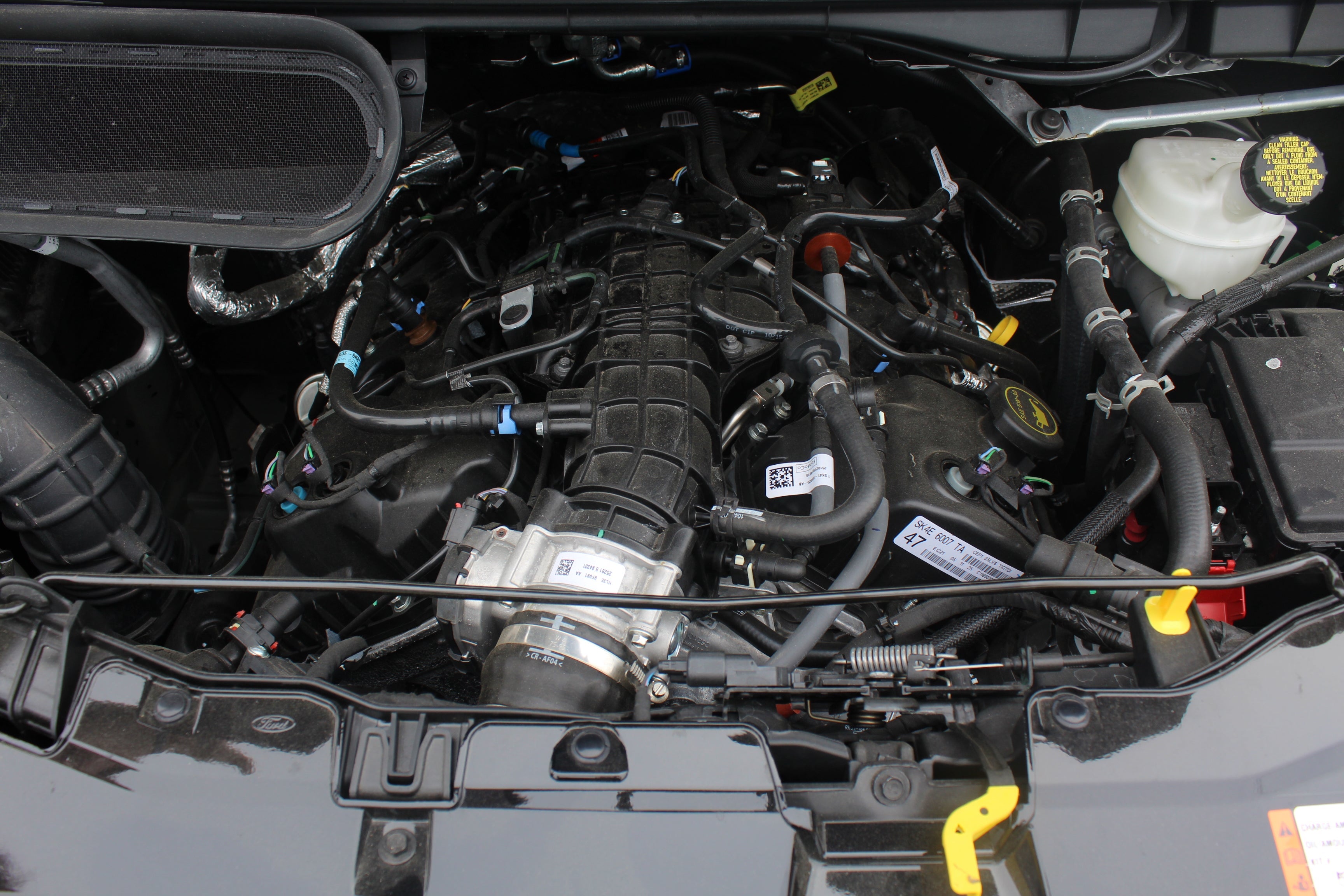2026 Ford Transit Galaxy Edition by Waldoch