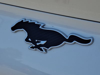 2022 Ford Mustang Mach-E Select