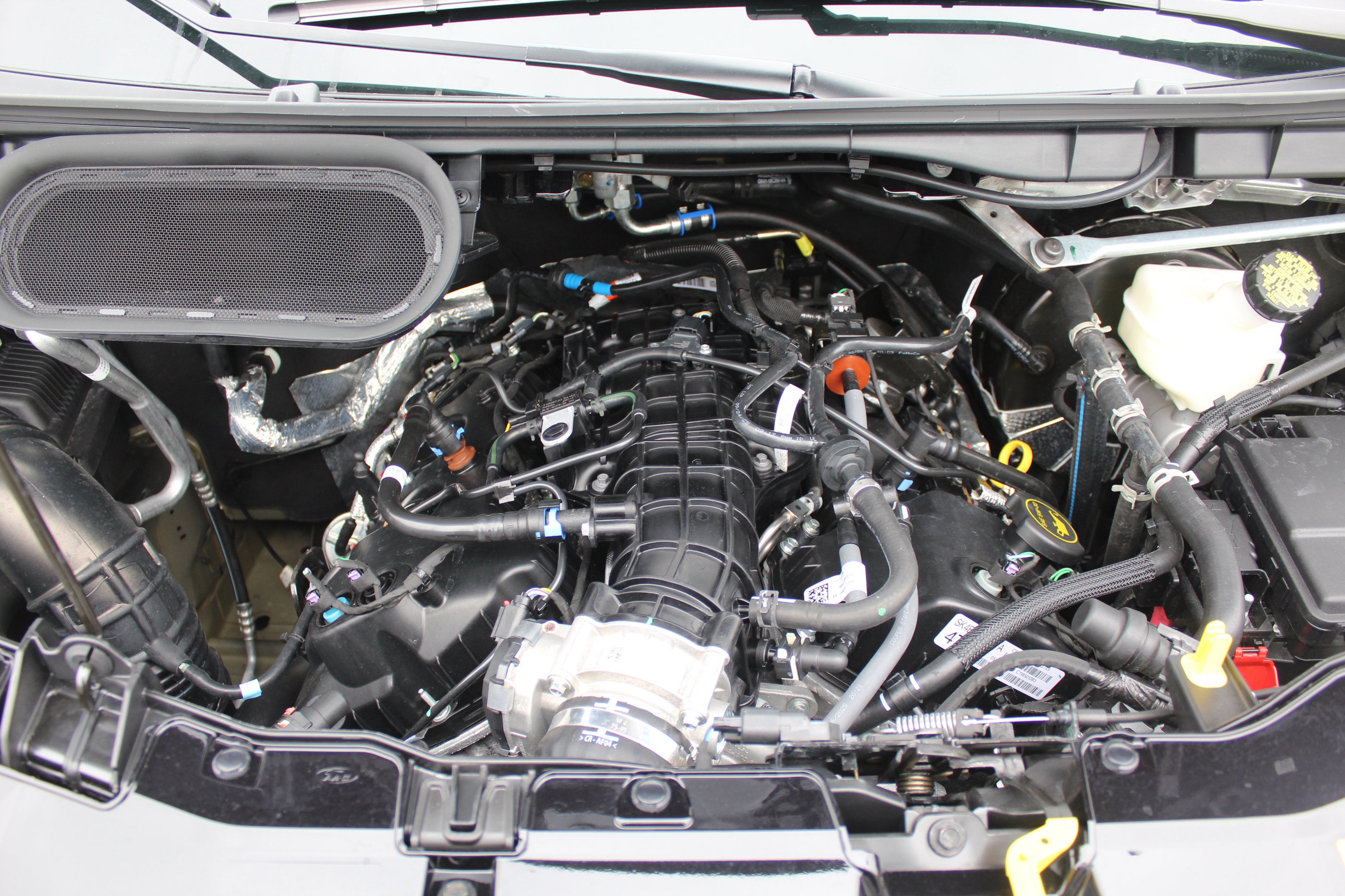 2026 Ford Transit Waldoch Boundary Waters Edition