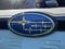2025 Subaru Forester Hybrid Limited Hybrid
