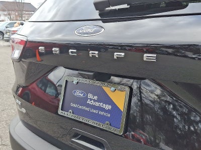 2021 Ford Escape SE
