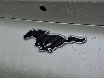 2021 Ford Mustang Mach-E Select