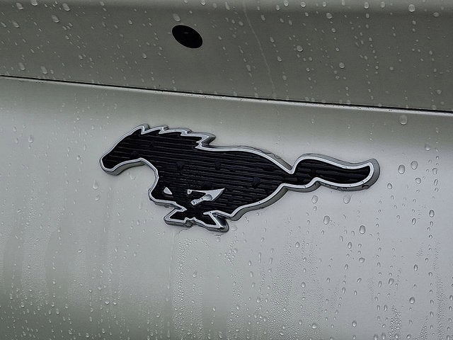 2021 Ford Mustang Mach-E Select