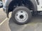 2025 Ford Chassis Cab F-550® XL