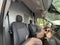 2024 Ford Transit Commercial Cargo Van
