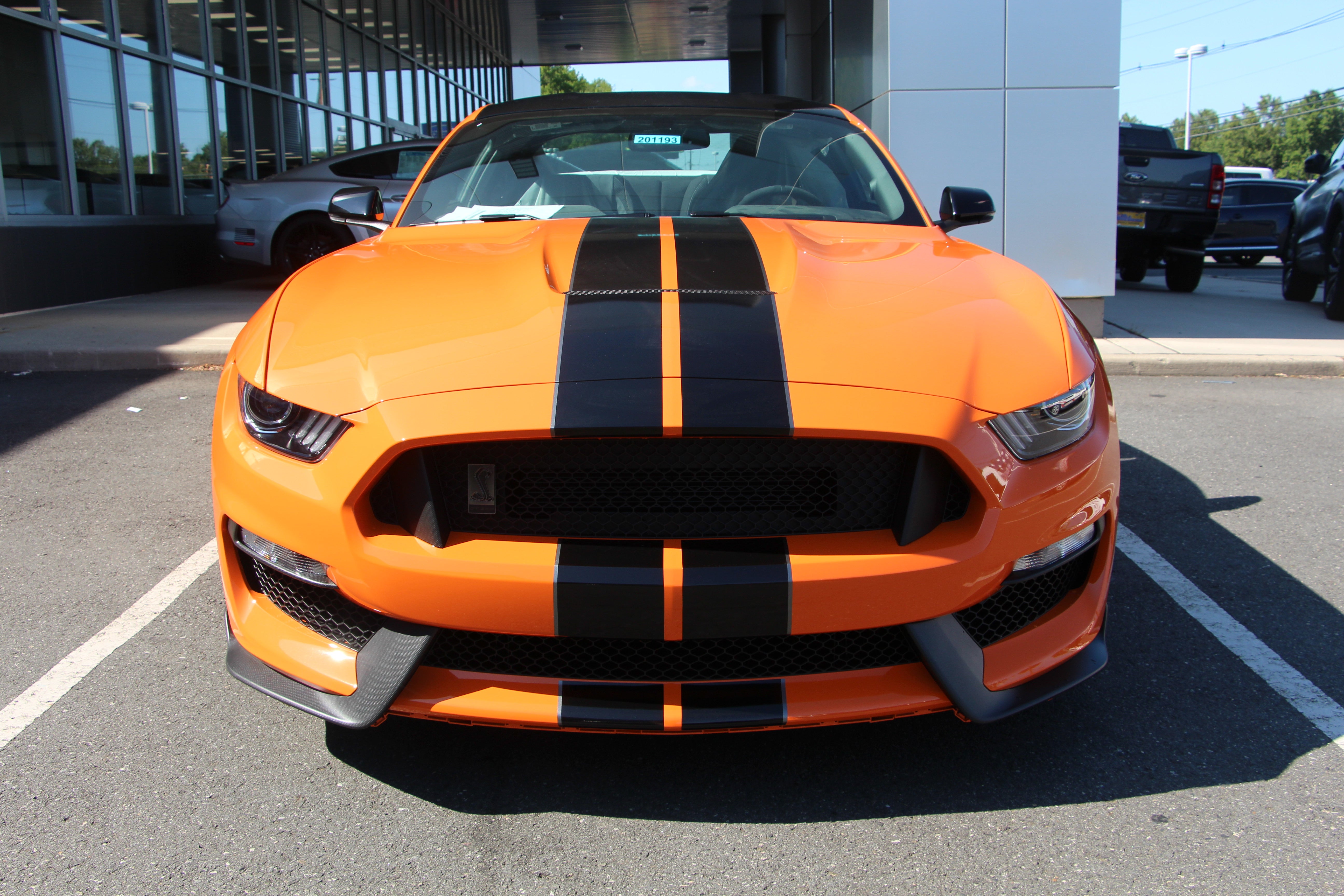 Shelby F-150 Super Snake Red at All American Auto Group in Old Bridge NJ